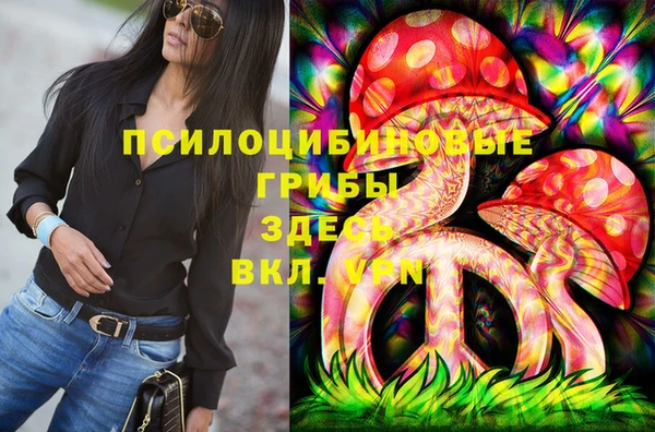 МДПВ Абинск