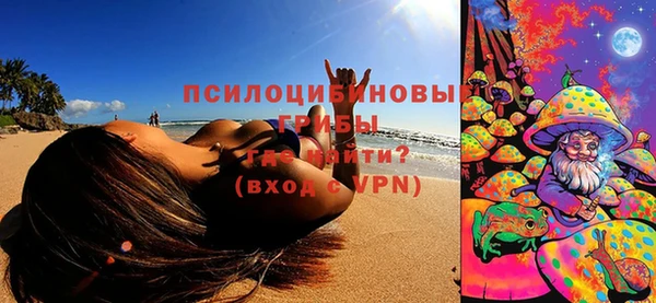 МДПВ Абинск