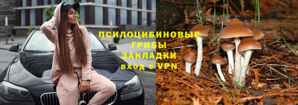 МДПВ Абинск