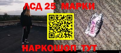 прущие грибы Новозыбков