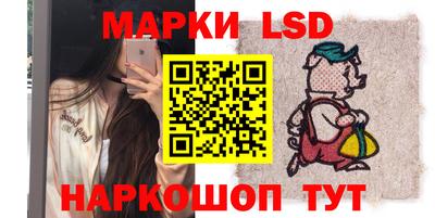 прущие грибы Новозыбков