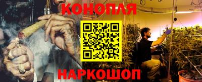 прущие грибы Новозыбков